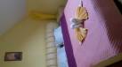 Single Standard Room Only