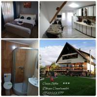 Vila Casa Sofia Dorna Candrenilor 