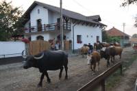 Pensiunea Casa Mosului