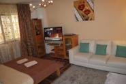 Apartament regim hotelier Rin Grand Apartment