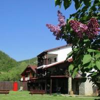 Cabana Poiana Galdei